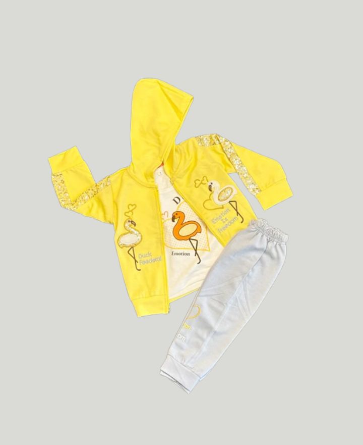 Toddlers Girls 3pcs Suits TD-0095