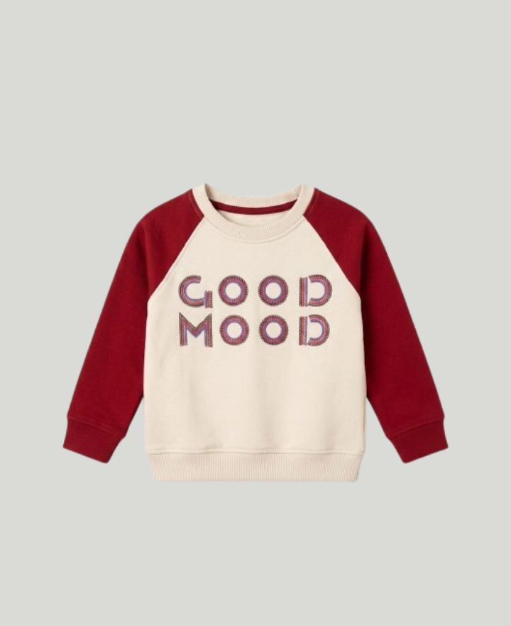 Toddlers Sweatshirts TS-0113