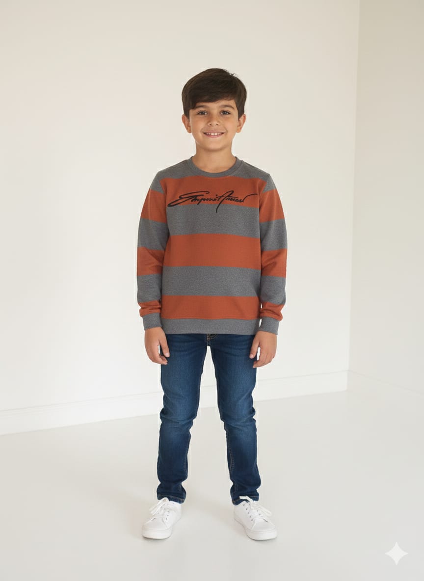 Boys Sweatshirts TS-0243