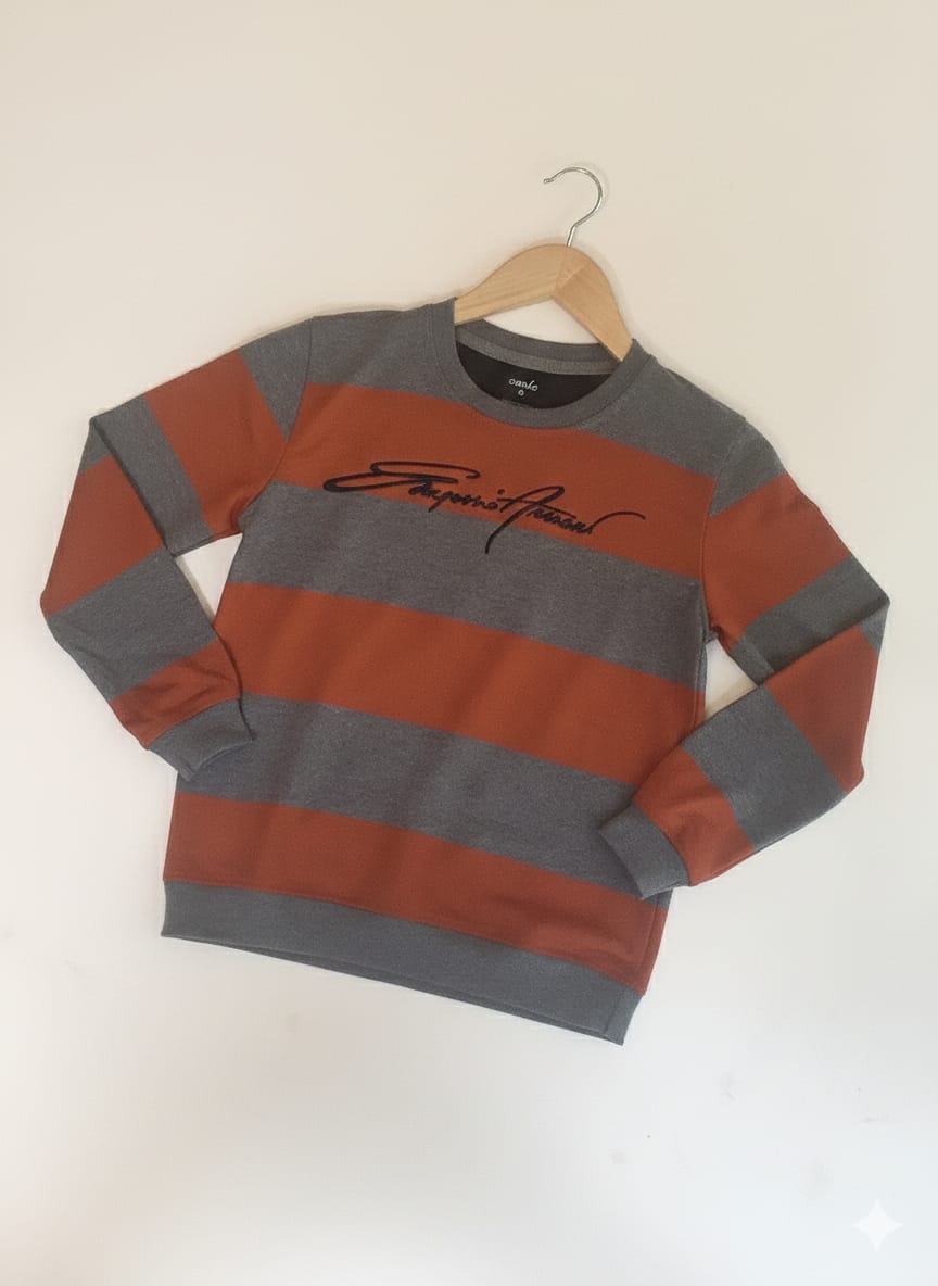 Boys Sweatshirts TS-0243