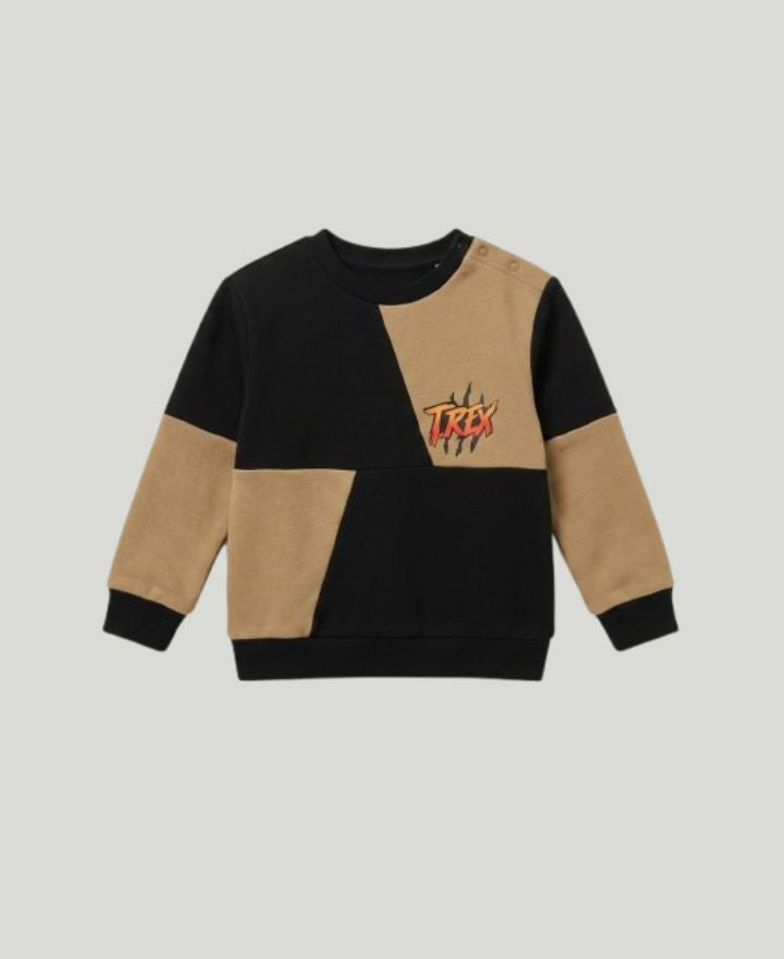 Boys T-Shirts TS-0111