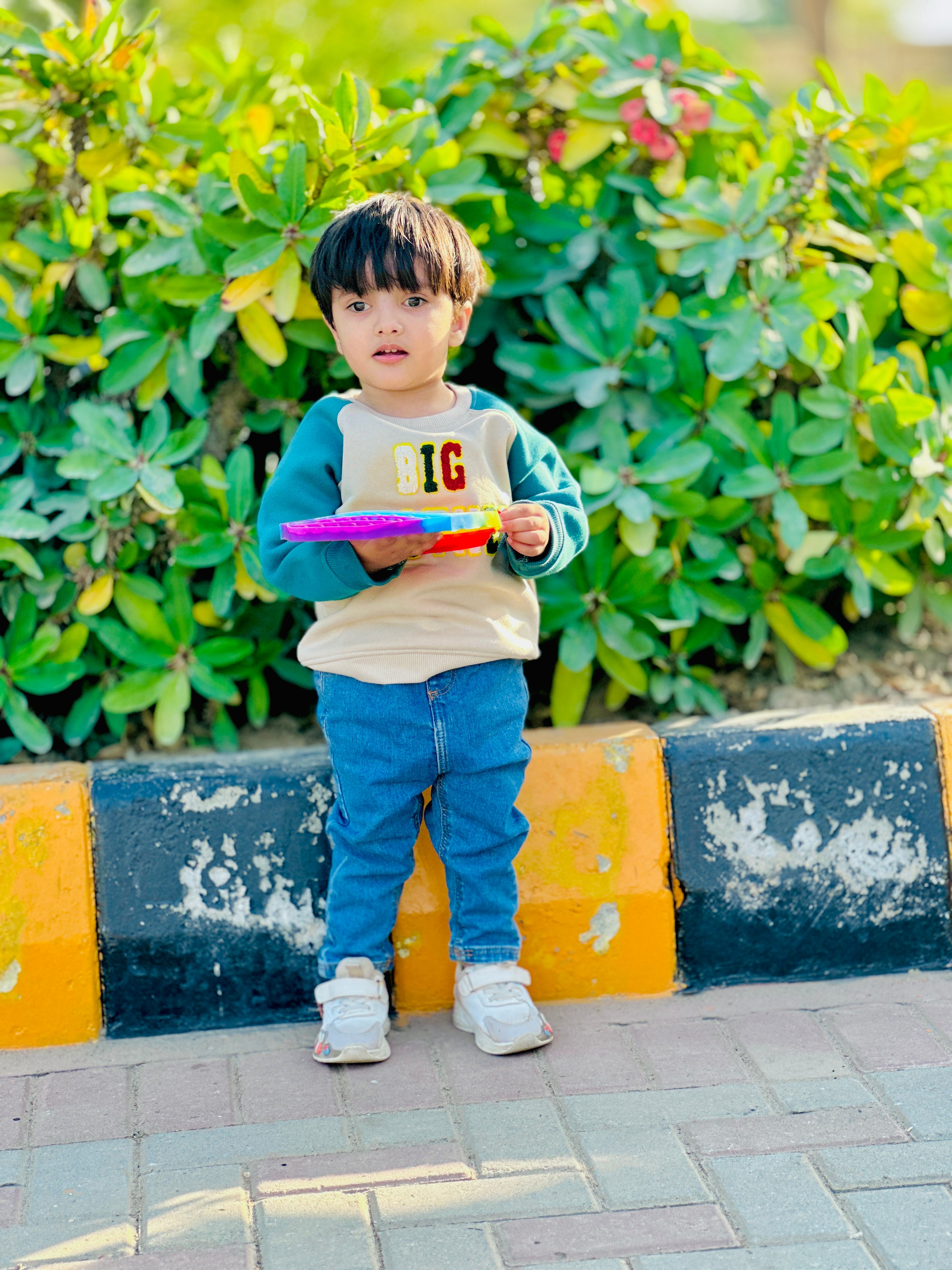 Boys Sweatshirt TS-0115
