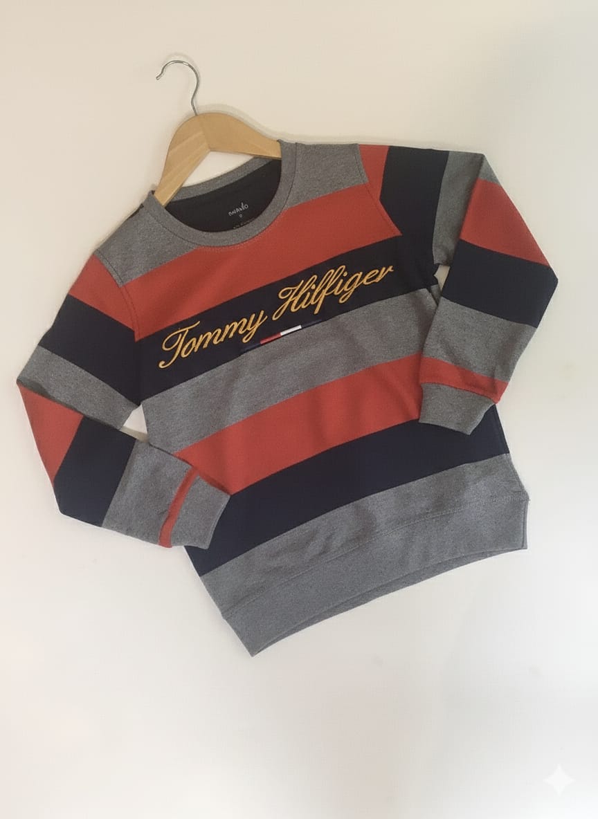 Boys Sweatshirts TS-0246