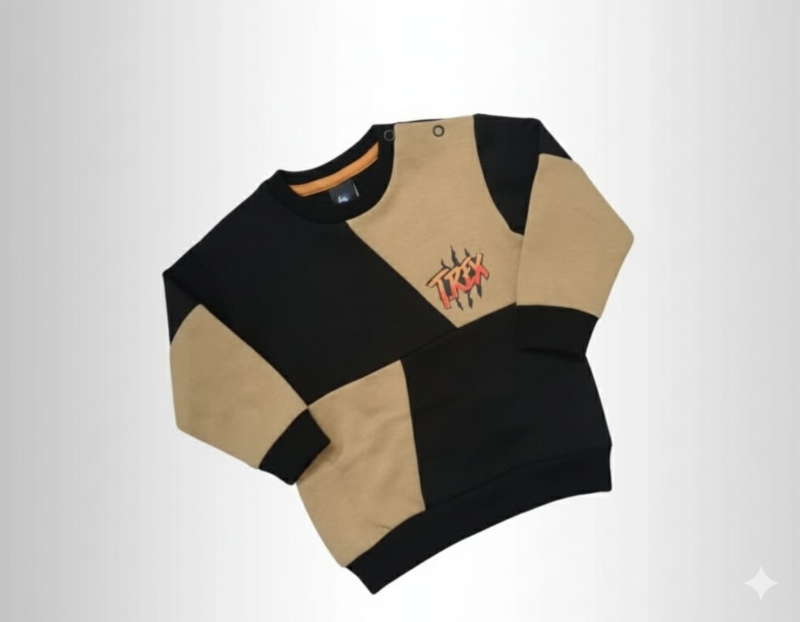 Boys T-Shirts TS-0111